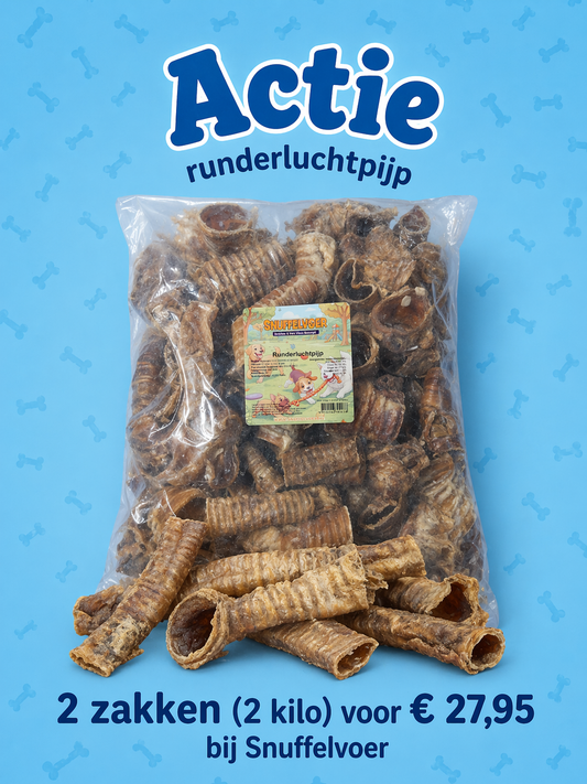Actie runderluchtpijp