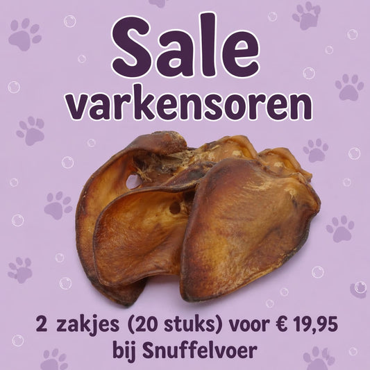 Actie varkensoren