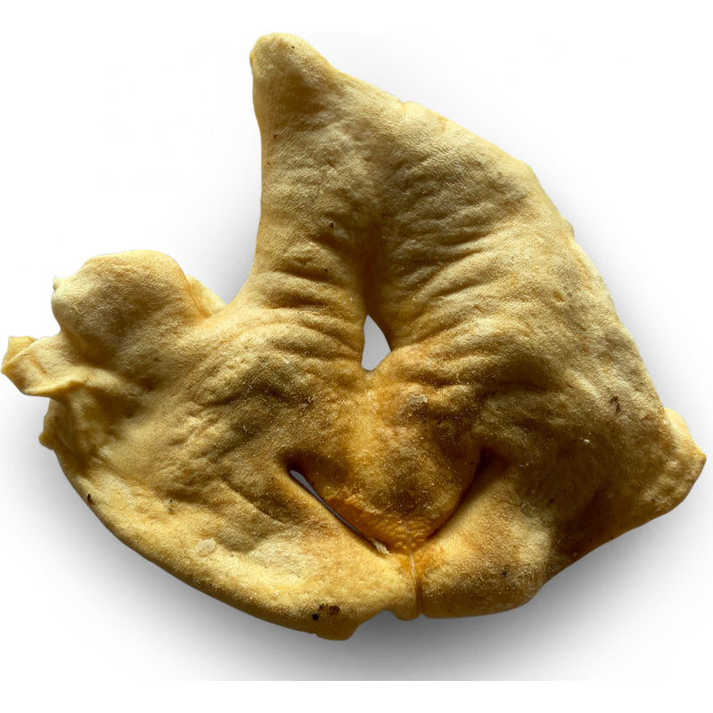 Lamsneus