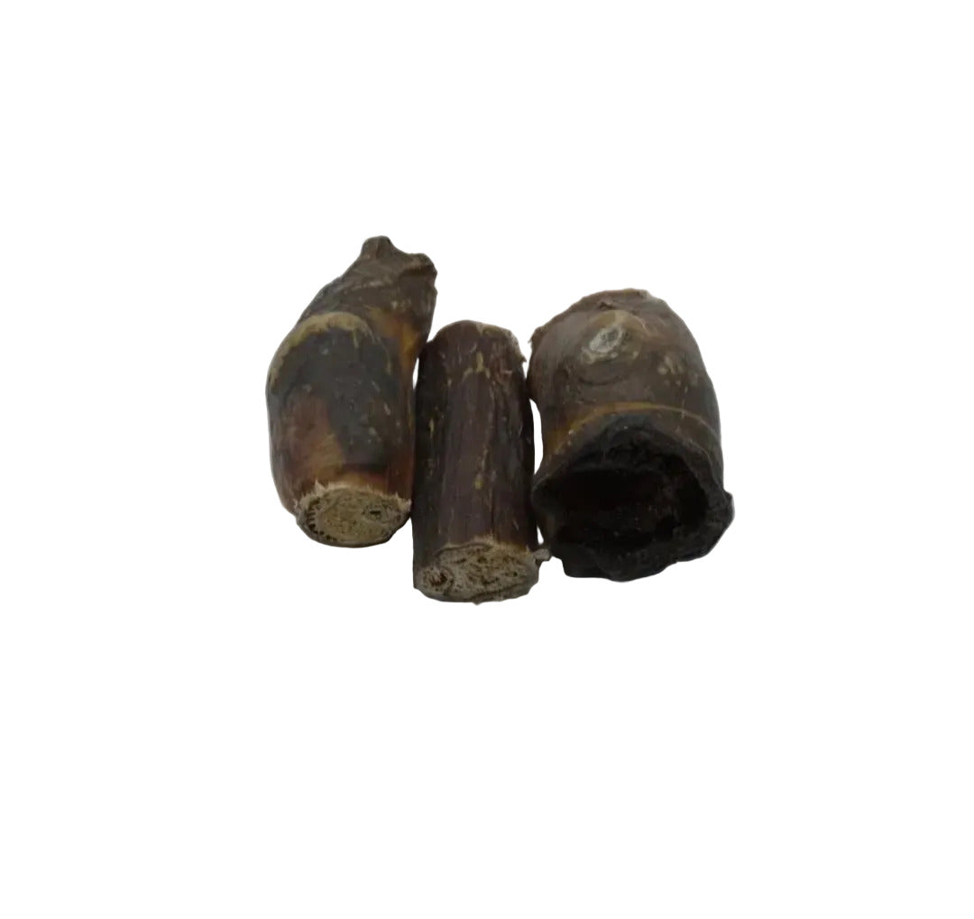 Paardenpenis