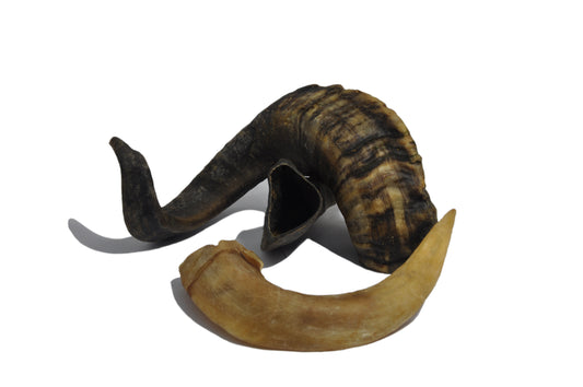 Ramshoorn