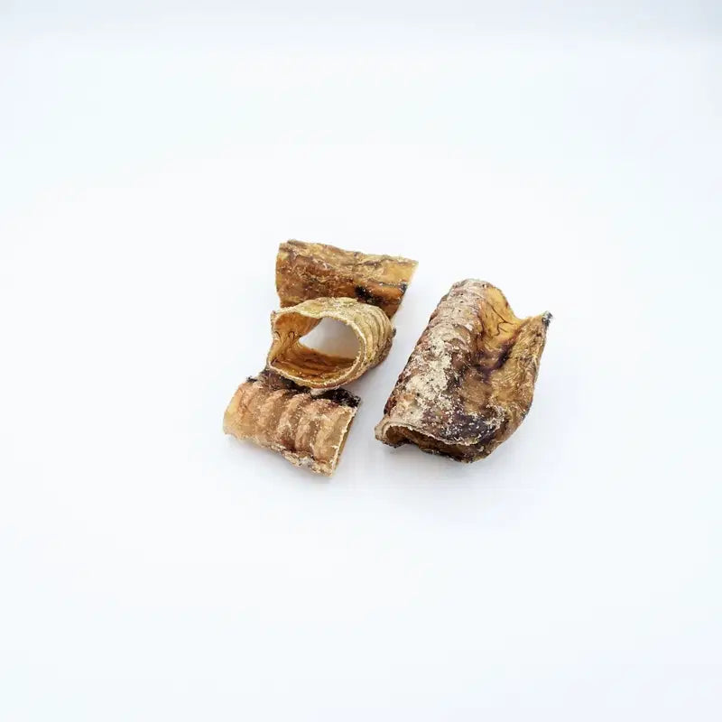 Runderluchtpijp Gezaagd 3-5 cm