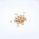 Soft Bone met Zalm en Rijst